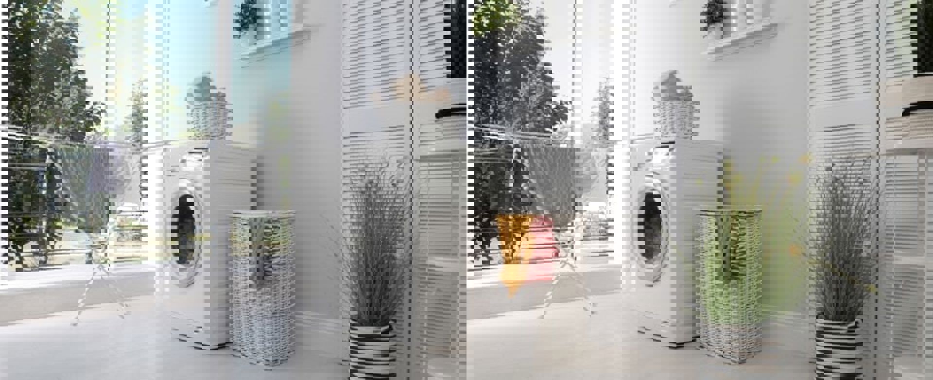 Wash And Fold Indoor Suite Min